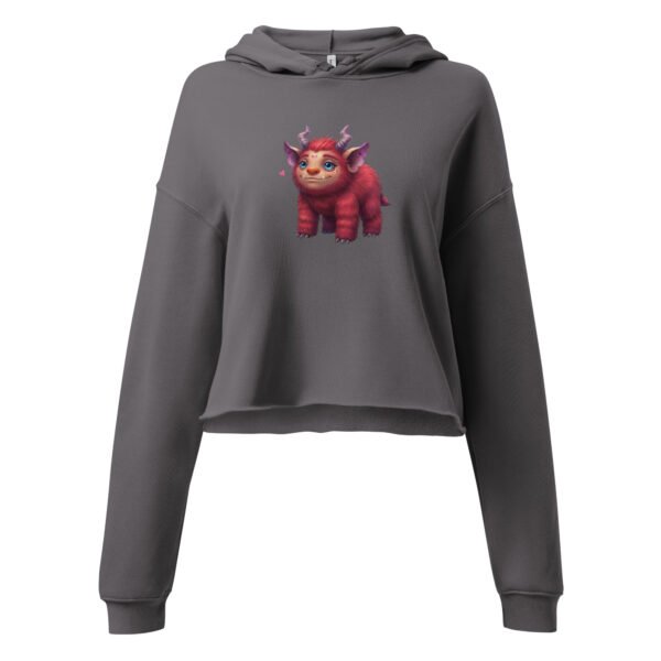Women's Cropped Hoodies