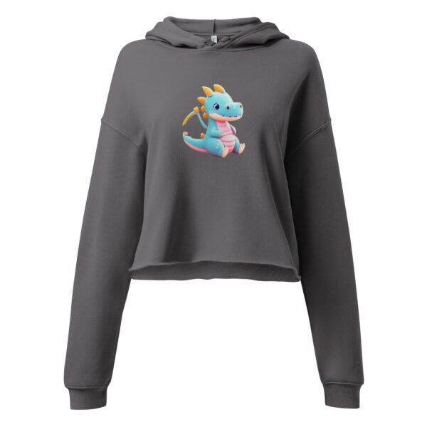 Women's Cropped Hoodies